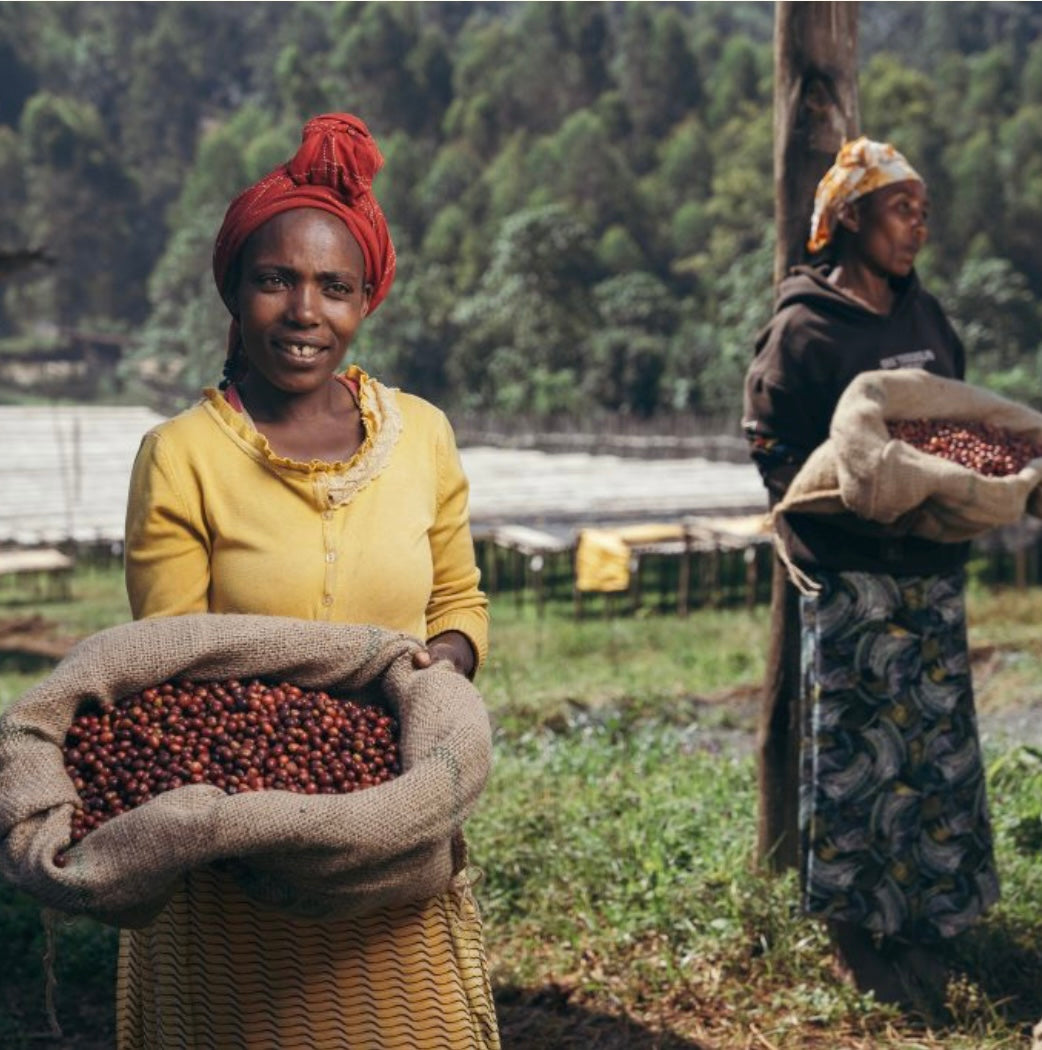 Ethiopia Faysel Abdosh Duwancho Village