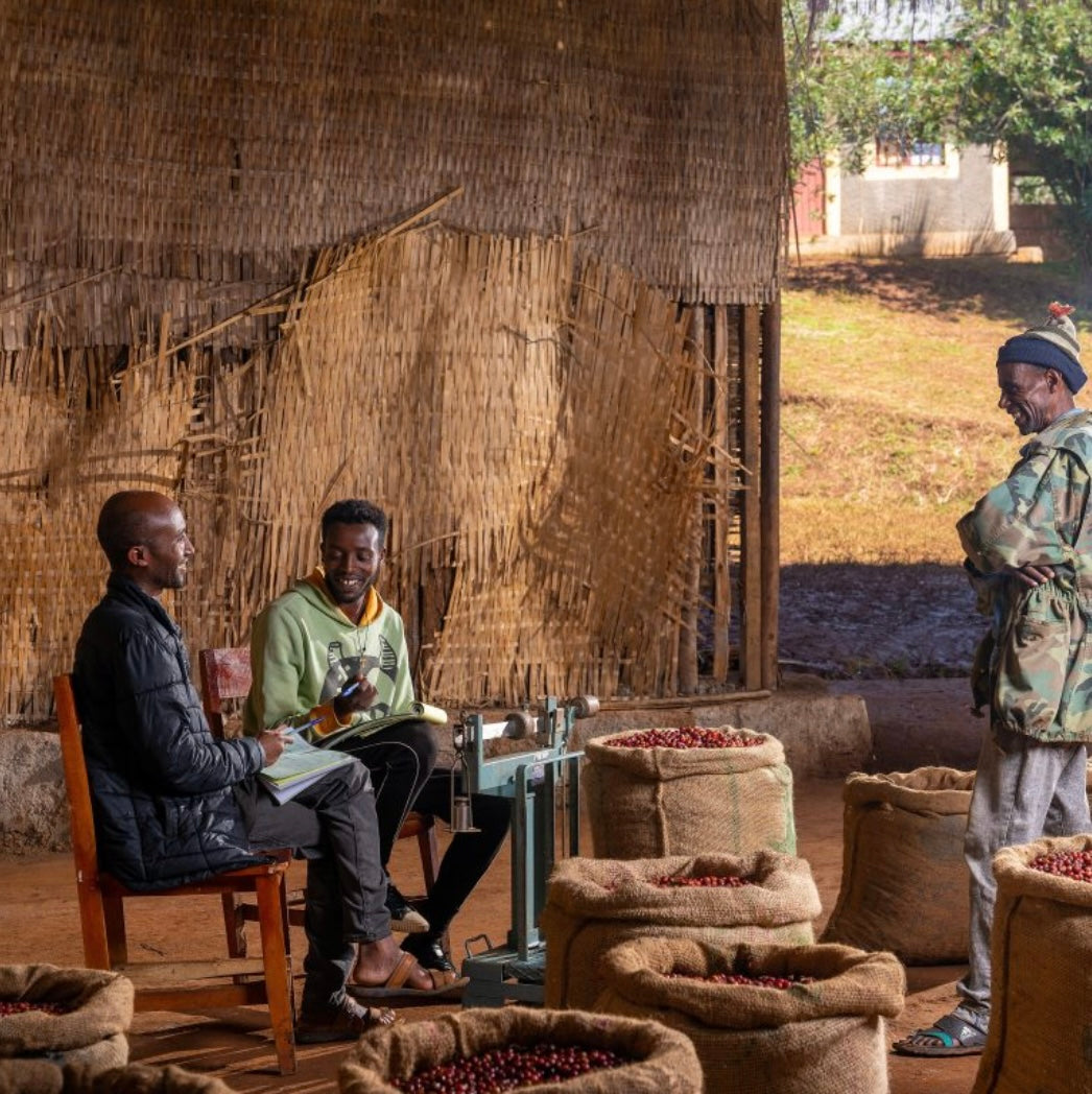 Ethiopia Faysel Abdosh Duwancho Village