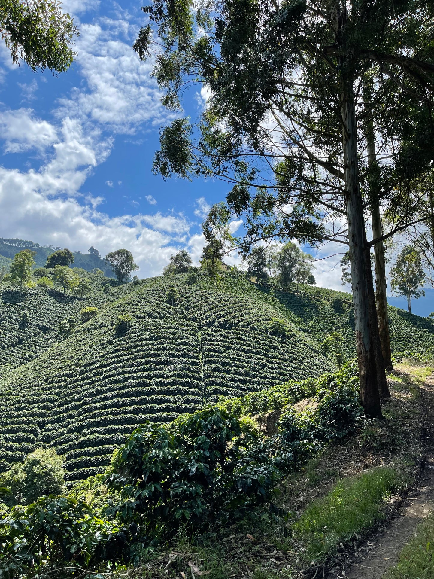 Colombia San Gabriel