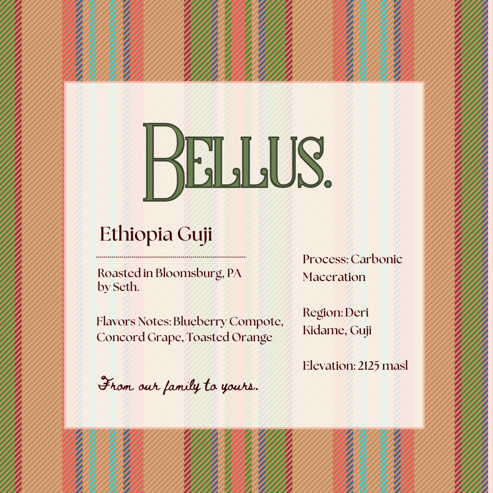 Ethiopia Guji - Carbonic Maceration