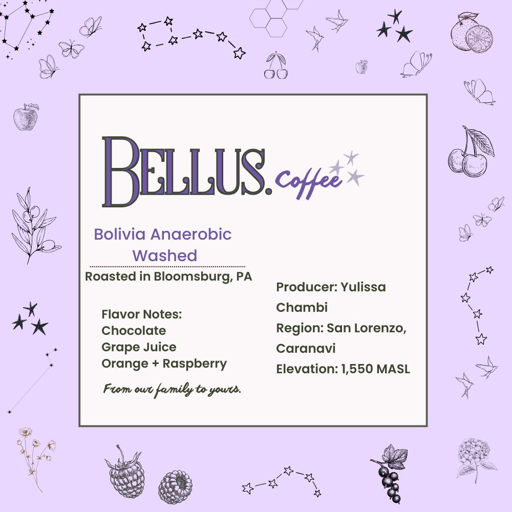 Bolivia Washed Anaerobic - Yulissa Chambi