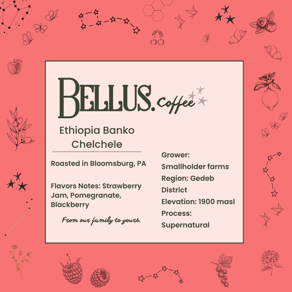 Ethiopia Banko Chelchele
