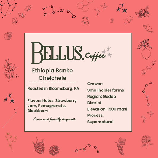 Ethiopia Banko Chelchele