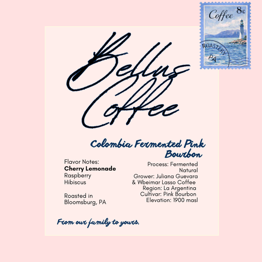 Colombia Fermented Pink Bourbon