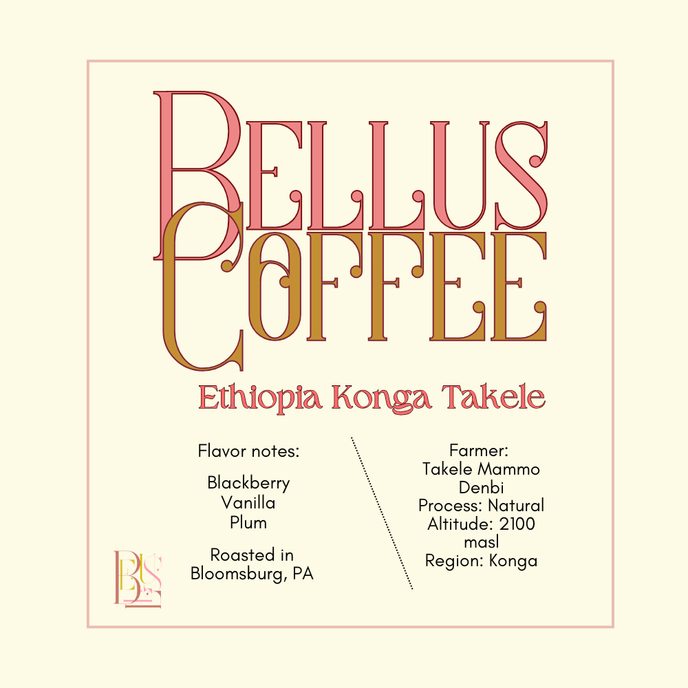 Ethiopia Konga Takele Mammo Denbi - Natural - Organic