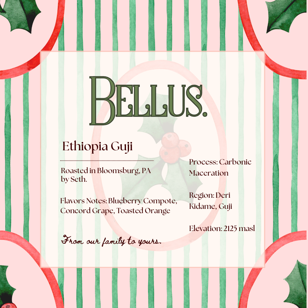 Ethiopia Guji - Carbonic Maceration