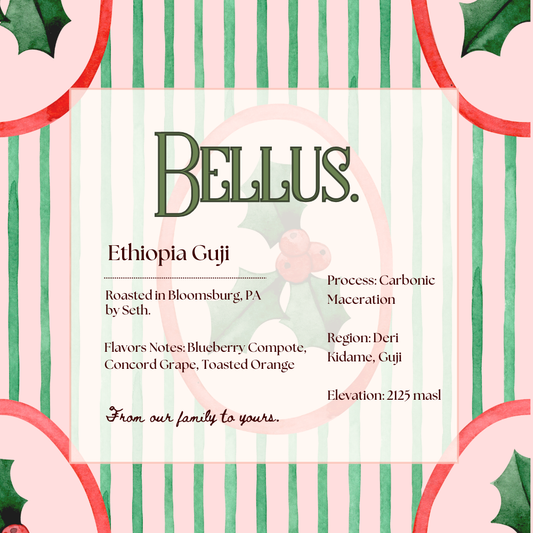 Ethiopia Guji - Carbonic Maceration