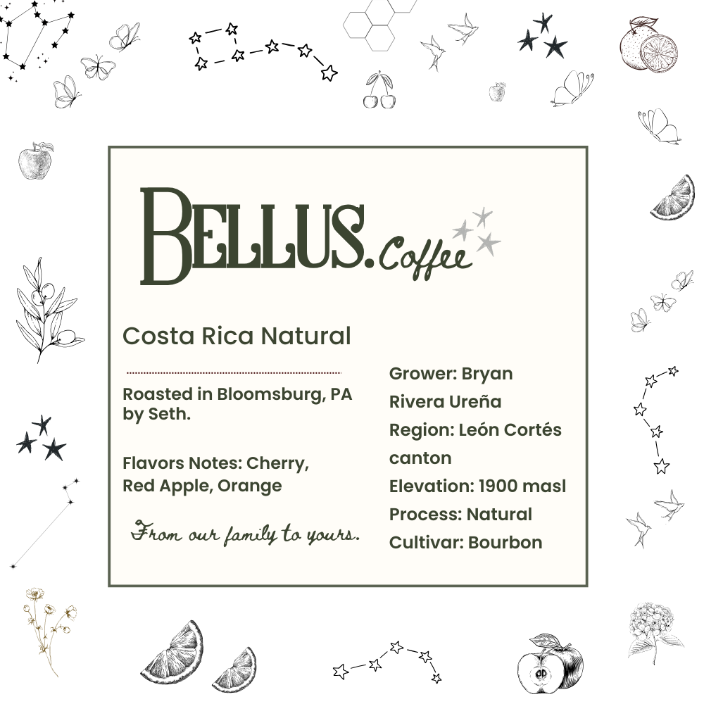 Costa Rica Natural — Bryan Rivera Ureña