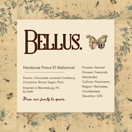 Honduras Finca El Malzincal