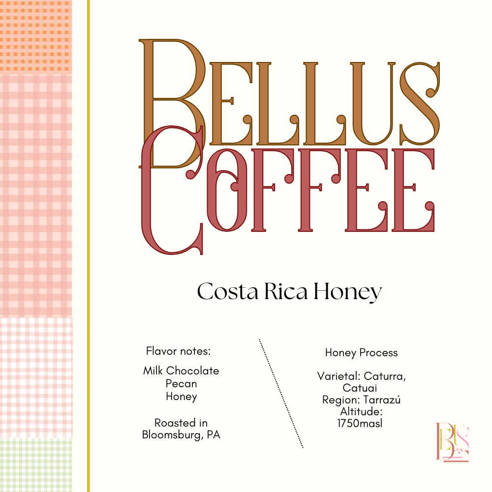 Costa Rica Honey