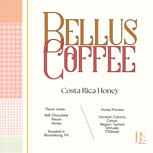 Costa Rica Honey