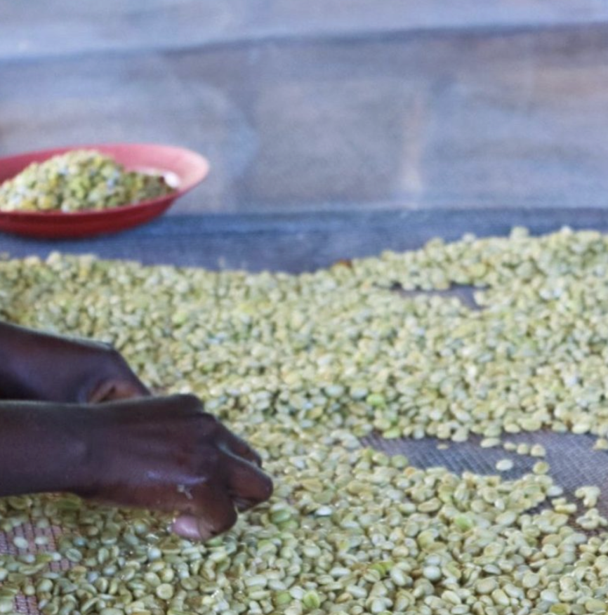 Rwanda Washed Rwamiko