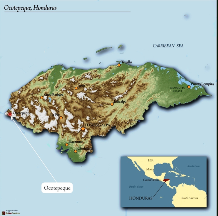 Honduras Finca El Malzincal