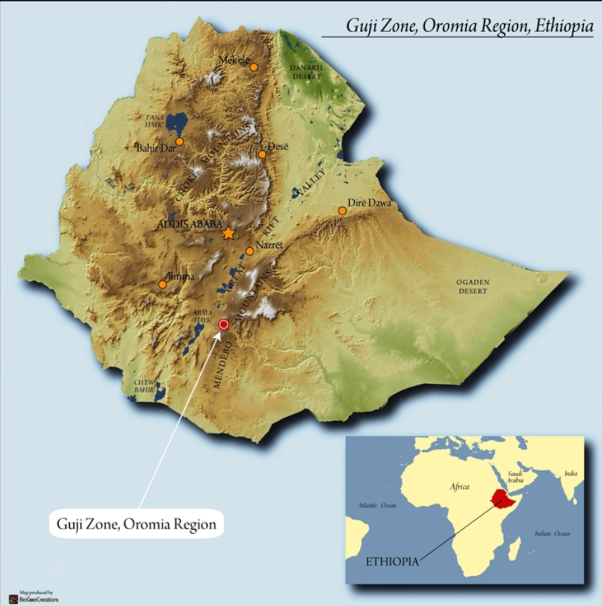 Ethiopia Guji - Carbonic Maceration
