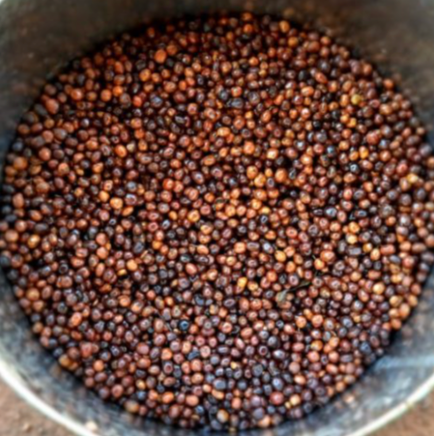 Ethiopia Guji - Carbonic Maceration