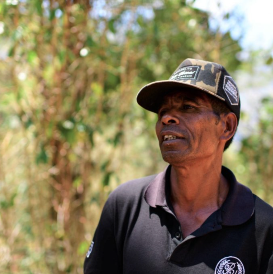 Timor Leste - Organic