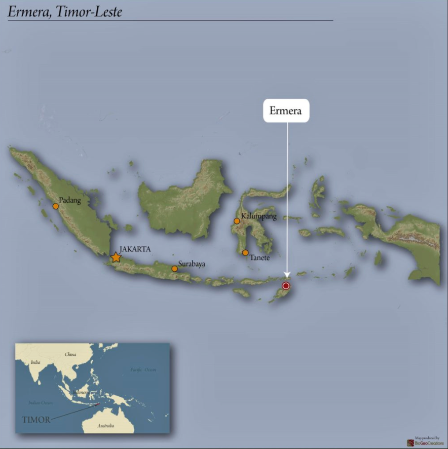 Timor Leste - Organic