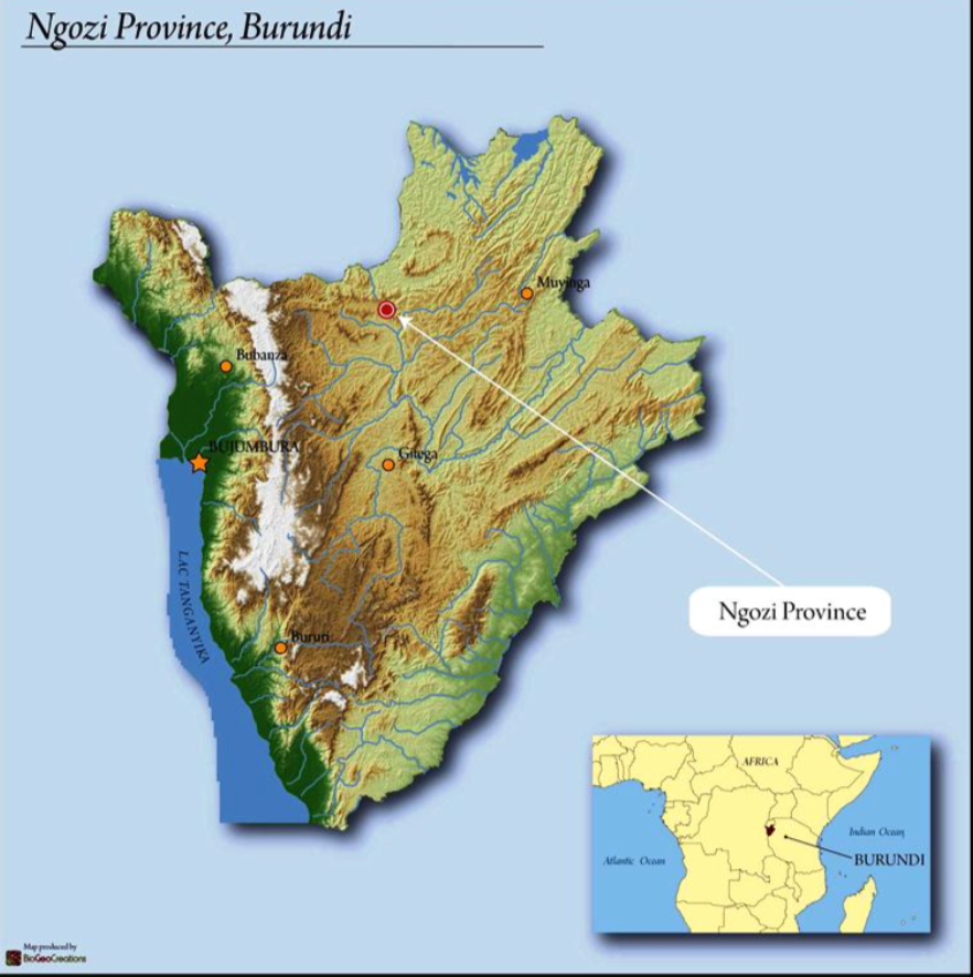 Burundi Natural Bavyeyi IV