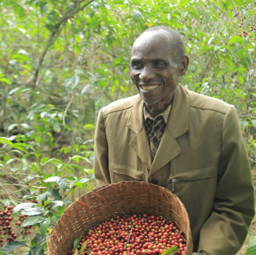 Ethiopia Banko Chelchele