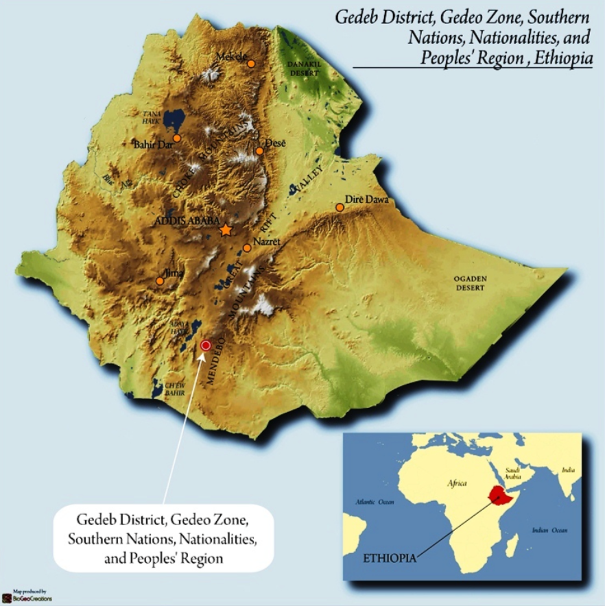 Ethiopia Banko Chelchele